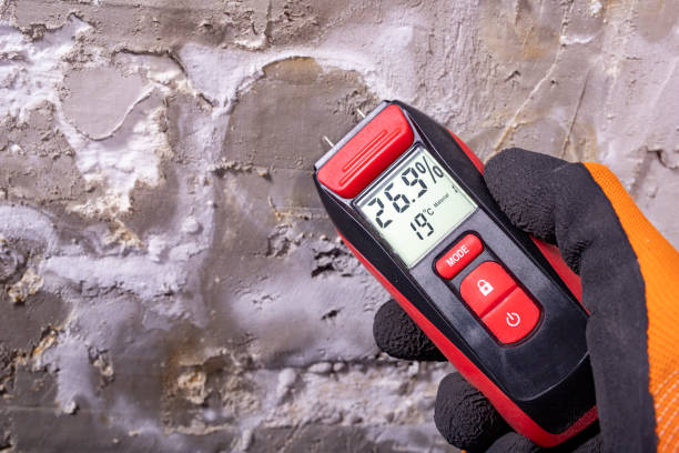 Best Mold Remediation for Schools in Netcong, NJ
