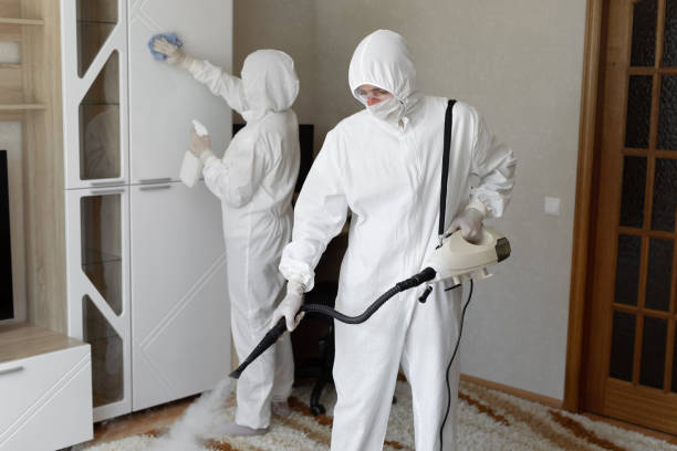 Best Post-Flood Mold Remediation in Netcong, NJ