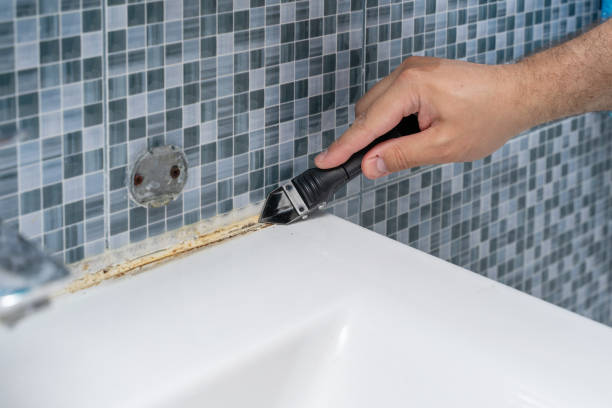 Best Commercial Mold Remediation in Netcong, NJ