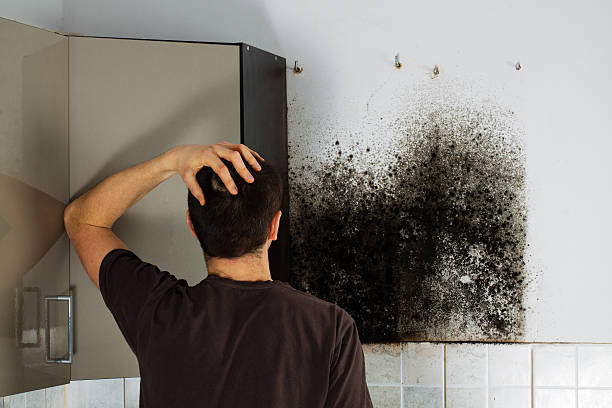 Professional Mold Remediation in Netcong, NJ